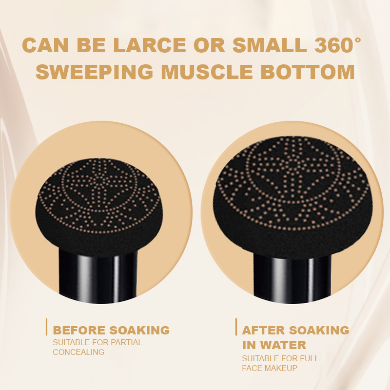 Ocheal BB Cream Air Cushion Co - огляд і ціна Beauty Linasi Makeup